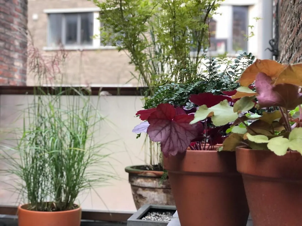 Holiday home Giorgio Villa Antwerp